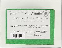 Thumbnail image of current specimen