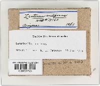 Image Associated With the Occurrence