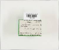 Image Associated With the Occurrence