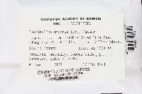 Image Associated With the Occurrence