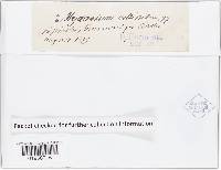 Image Associated With the Occurrence