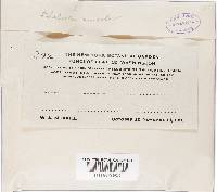 Image Associated With the Occurrence