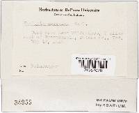 Image Associated With the Occurrence