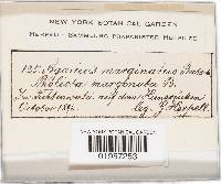 Image Associated With the Occurrence