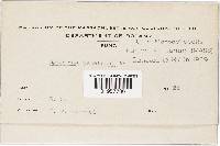 Image Associated With the Occurrence