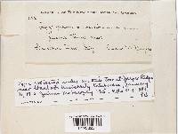 Hygrophorus roseobrunneus image