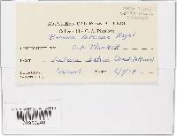 Image Associated With the Occurrence