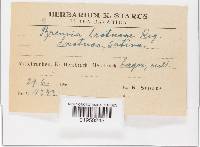 Image Associated With the Occurrence