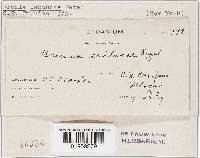 Image Associated With the Occurrence