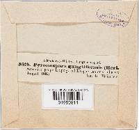 Image Associated With the Occurrence