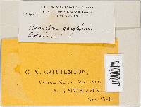 Image Associated With the Occurrence