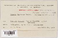 Image Associated With the Occurrence