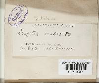 Image Associated With the Occurrence