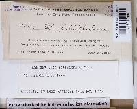 Image Associated With the Occurrence