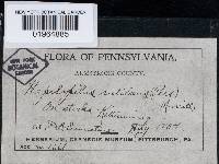 Image Associated With the Occurrence