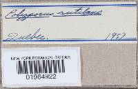 Image Associated With the Occurrence