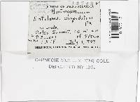 Image Associated With the Occurrence