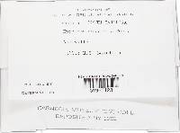 Image Associated With the Occurrence