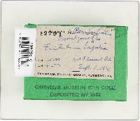 Image Associated With the Occurrence