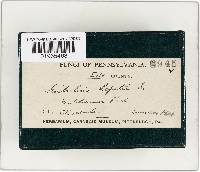 Image Associated With the Occurrence