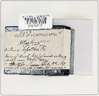 Fistulina hepatica image