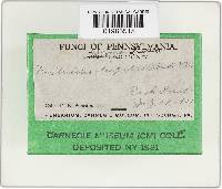 Image Associated With the Occurrence