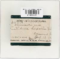 Image Associated With the Occurrence