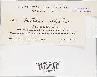 Image Associated With the Occurrence