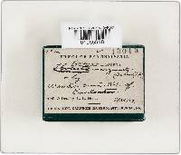 Image Associated With the Occurrence