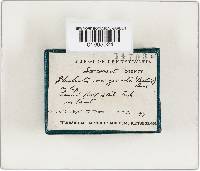 Image Associated With the Occurrence