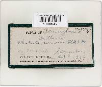 Image Associated With the Occurrence