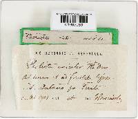 Image Associated With the Occurrence