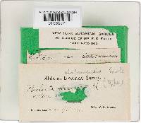 Image Associated With the Occurrence