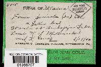 Image Associated With the Occurrence