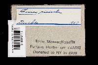 Image Associated With the Occurrence