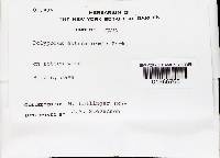 Image Associated With the Occurrence