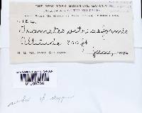 Image Associated With the Occurrence