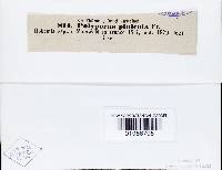 Image Associated With the Occurrence