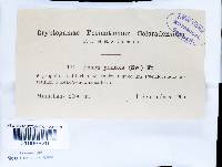 Image Associated With the Occurrence