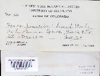 Image Associated With the Occurrence