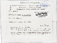 Cyathus stercoreus image