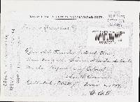 Favolus tenuiculus image