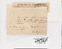 Thumbnail image of current specimen