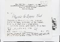 Image Associated With the Occurrence