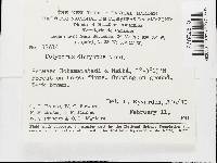 Image Associated With the Occurrence