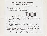 Image Associated With the Occurrence