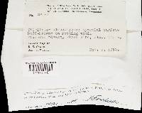 Image Associated With the Occurrence