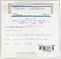 Image Associated With the Occurrence