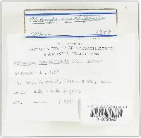 Image Associated With the Occurrence