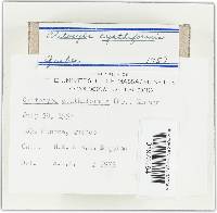 Image Associated With the Occurrence